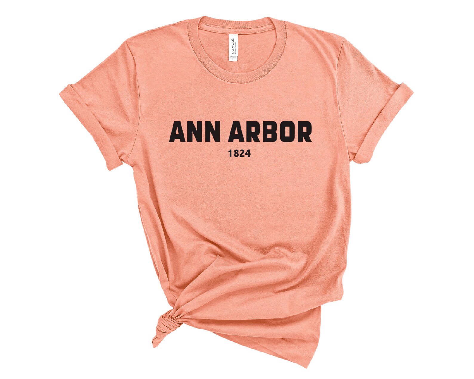 ann arbor tshirt