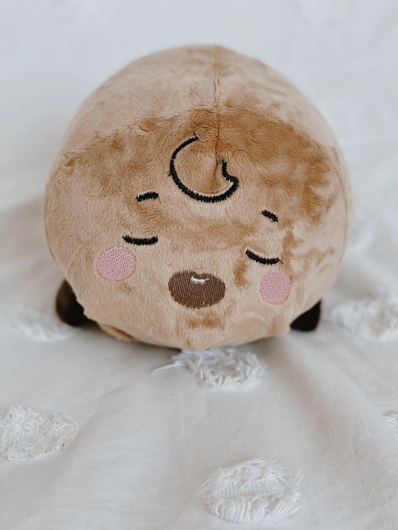 bts shooky plush