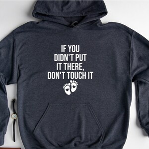 If You Didn&#39;t Put It…Hoodie, Pregnancy Announcement Hoodie, Maternity Hoodie,Pregnancy Hoodie, Mom To Be Hoodie, Funny Pregnancy Hoodie, Mom