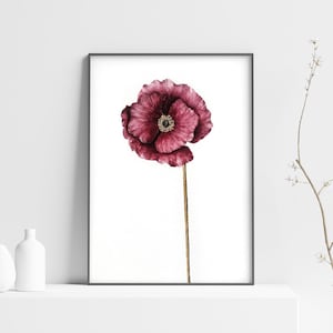 Blumendruck, druckbare Mohnblumen Blumendruck, Aquarell Malerei, Botanische Wandkunst, dunkel rosa rot gold, HERUNTERLADBARER DRUCK