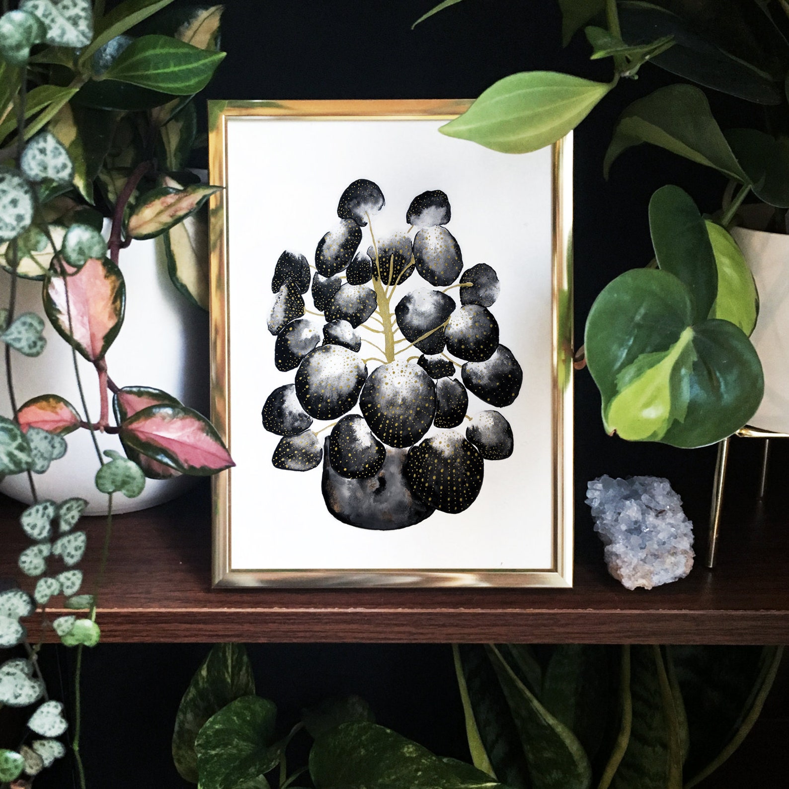 Printable Plant Art Print of Pilea Peperomioides, Botanical Wall Art in ...