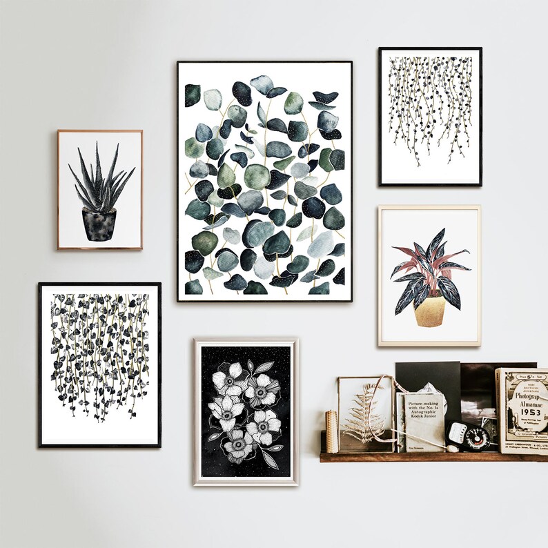 May include: A gallery wall featuring six framed prints of botanical illustrations. The prints depict various plants, including eucalyptus leaves, a succulent, and a leafy plant with red and green leaves. The prints are arranged in a symmetrical pattern on a white wall.