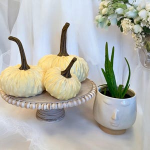 May include: Three white pumpkins with brown stems on a white beaded cake stand. A white ceramic planter with a face design holds a green succulent plant.