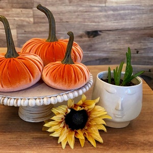 Pumpkin Set of 3 Velvet Pumpkin Spice Handmade Host Gift Set for Her Rustic Wedding Centerpiece Cottage Core Chic Thanksgiving Table Decor
