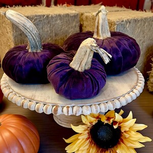 Pumpkin Set of 3 Mink Velvet Heart Embossed Deep Fig Purple Pumpkins Host Gift Set Love Themed Party Decor Rustic Fall Holiday Table Decor