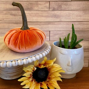 Large Velvet Pumpkin Spice Pumpkin, Fall Wedding Tablescape, Thanksgiving Table Centerpiece, Modern Rustic Home Decor, Best Selling Item
