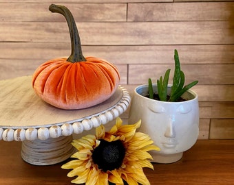 Large Velvet Pumpkin Spice Pumpkin, Fall Wedding Tablescape, Thanksgiving Table Centerpiece, Modern Rustic Home Decor, Best Selling Item