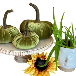 Handmade Pumpkins Set of 3 AVOCADO GREEN VELVET Luxe Fall Wedding Centerpiece Autumn Decor Host Gift Set Rustic Barn Wedding Tablescape