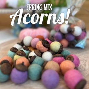 May include: A pile of colorful felt acorns in various shades of pink, purple, blue, green, and yellow. The acorns are arranged on a wooden surface. The text "SPRING MIX Acorns!" is visible in the background.