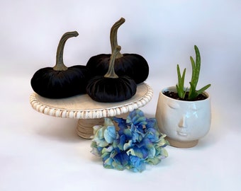 May include: Three black velvet pumpkins on a white cake stand with a white ceramic planter with a green succulent plant.  A blue and green hydrangea is in the foreground.
