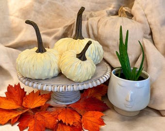 Pumpkin Set of 3 sizes Rustic Home Decor Modern Farmhouse Decor Fall Wedding Centerpiece Buttercream Yellow Nubby Mink Pumpkin Set for Her