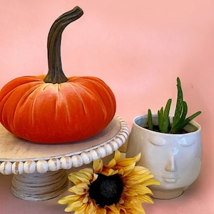 Extra Large Velvet Pumpkin Spice Pumpkin, Fall Wedding Centerpiece, Rustic Thanksgiving Home Decor, Farmhouse Chic Decor, Best Selling Item