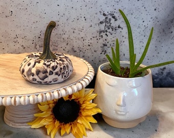 Animal Print Handmade Small Pumpkin Snow Cheetah Pumpkin Neutral Color Aesthetic Decor Shabby Chic Farmhouse Decor DIY Wreath Making Supply
