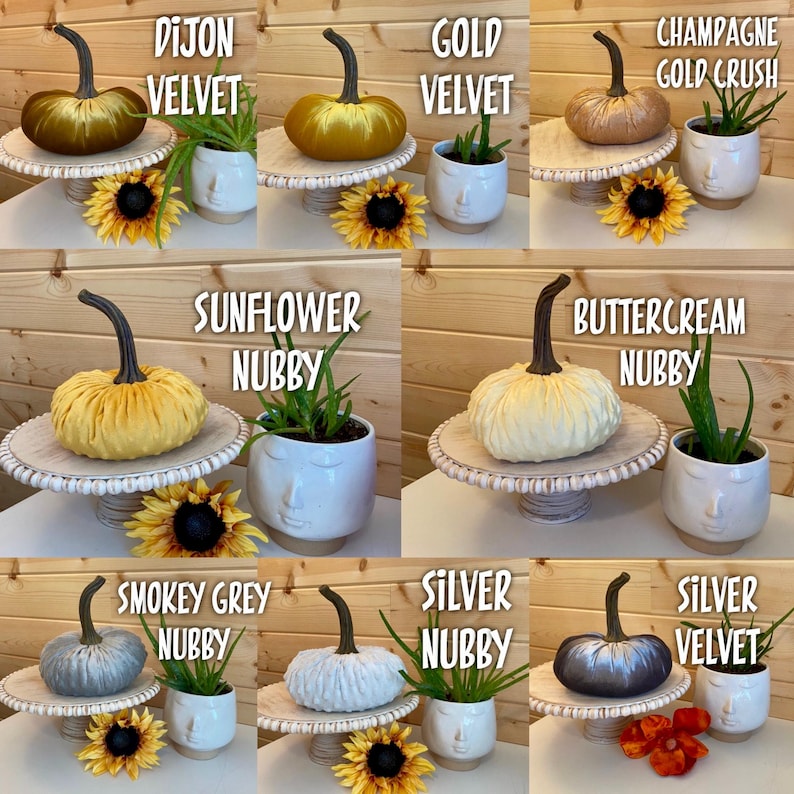 May include: Ten different colors of velvet and nubbly pumpkins, each displayed on a white pedestal with a small plant in a white face planter. The pumpkins are labeled with their color and texture, such as "Dijon Velvet" and "Buttercream Nubby".