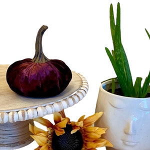 Velvet Pumpkin Small Handmade Wine Velvet Pumpkin DIY Wedding Centerpiece Rustic Tablescape Modern Country Home Decor Wreath Making Supply