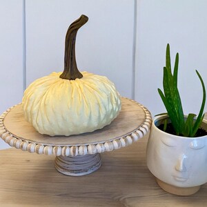 May include: A white ceramic planter with a face design, featuring a green succulent plant. A white pumpkin sits on a wooden pedestal with a beaded edge.