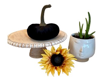 Large Black Velvet Pumpkin Home Decor Trend Handmade Farmhouse Chic Pumpkin Tablescape Sexy Evening Wedding Decor Rustic Chic Centerpiece