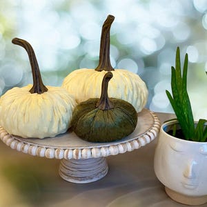 May include: Three decorative pumpkins, one green and two white, are displayed on a white pedestal cake stand. A white ceramic planter with a face design holds a green succulent plant.
