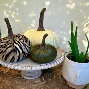 May include: Three velvet pumpkins on a white pedestal cake stand. The pumpkins are decorated with a zebra print, a solid green color, and a white and yellow color. A white ceramic planter with a face design holds a green aloe plant.