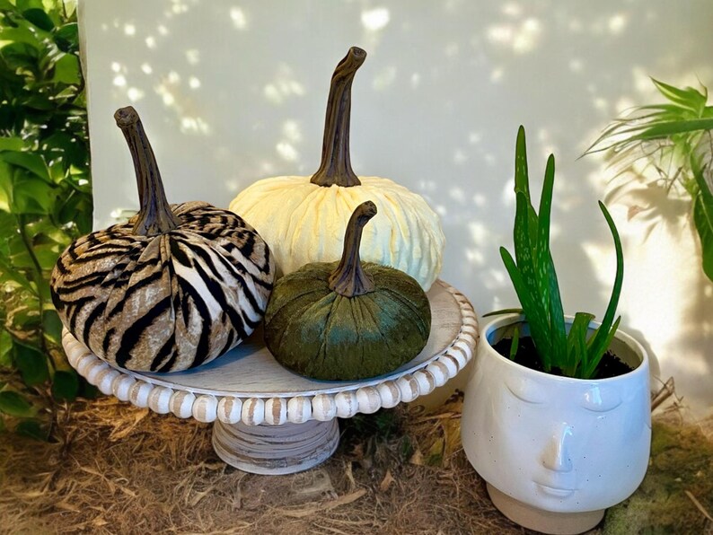 May include: Three velvet pumpkins on a white pedestal cake stand. The pumpkins are decorated with a zebra print, a solid green color, and a white and yellow color. A white ceramic planter with a face design holds a green aloe plant.
