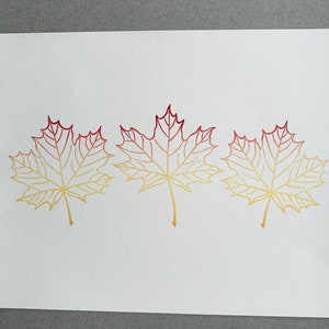 May include: Three red and yellow maple leaves with a gradient colour effect. The leaves are outlined in a thin black line.