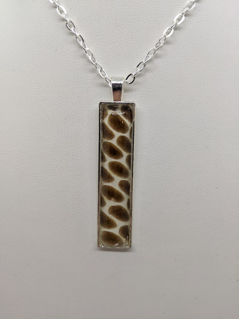 Pakistani cobra necklace Naja naja real snake shed Etsy