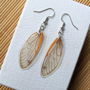 Cicada wing earrings, Magicicada septendecim, real cicada wings