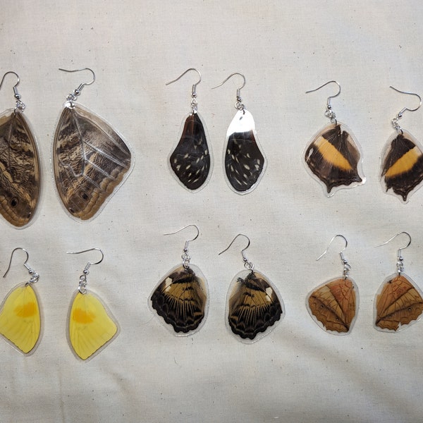 Laminated real butterfly wing earrings