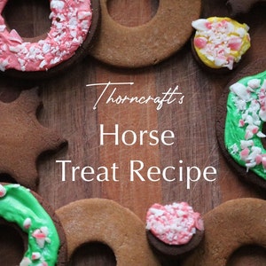 Thorncraft&#39;s Gourmet Horse Treat Recipe | Easy to Make