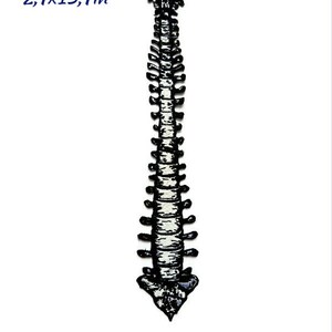 May include: A black and white spine-shaped patch, measuring 7 x 35 cm (2.7 x 13.7 inches). The patch features detailed vertebrae and is set against a white background. The dimensions are displayed in both centimeters and inches.