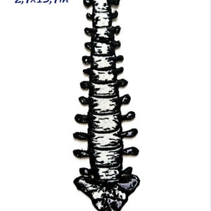 May include: Embroidered spine patch in black and white, approximately 7 x 35 cm. The patch depicts a detailed spinal column, with each vertebra clearly defined. Perfect for customising garments or bags with a unique, anatomical design.