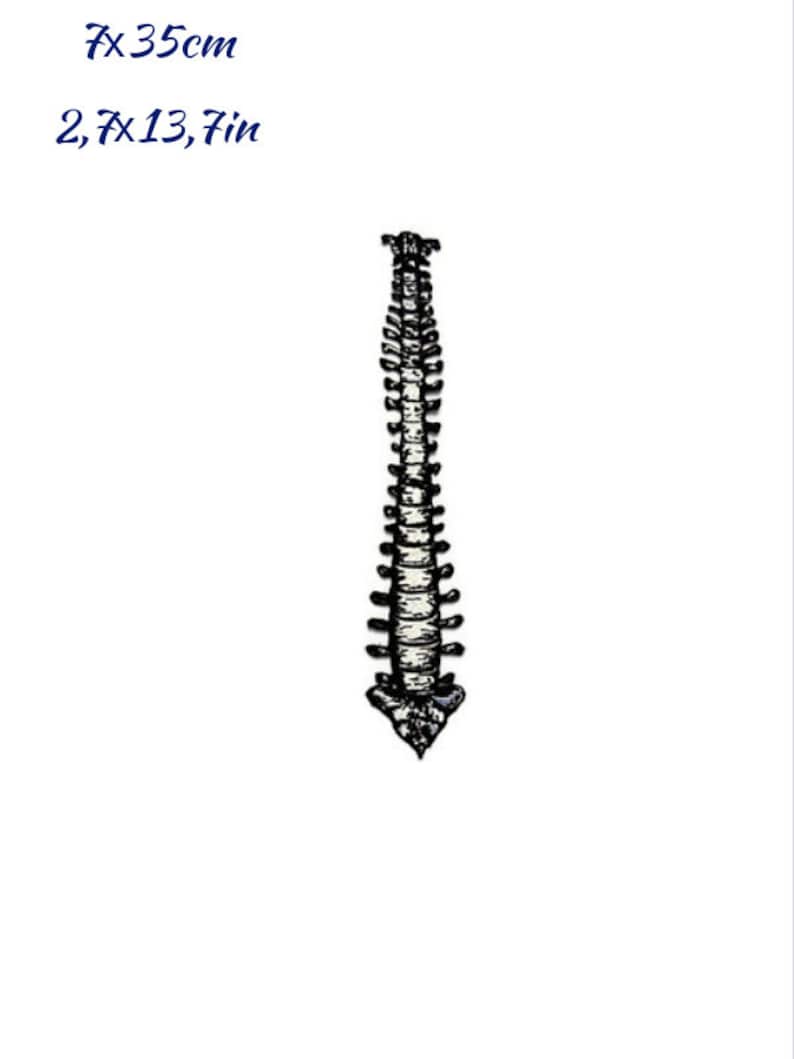May include: A black and white illustration of a human spine. The image includes the measurements 2.7 x 13.7 inches and 7 x 35cm in blue text.