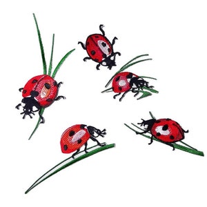 Op de afbeelding: Vijf geborduurde strijkpatches van lieveheersbeestjes op groen gras. De lieveheersbeestjes zijn rood met zwarte stippen en zwarte pootjes.