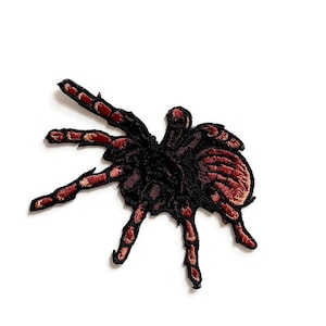 May include: A brown and black embroidered iron-on patch of a tarantula spider.
