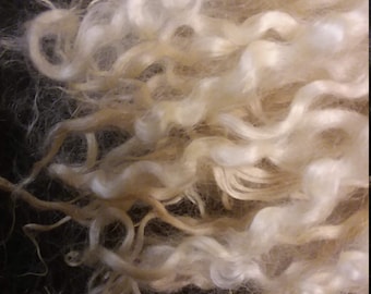COTSWOLD WASHED WOOL fleece locks for spinning, crafts, doll hair, santa  beards