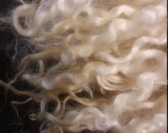 May include: Close-up of a mass of light blonde, curly wool fibers. The fibers have a soft, fluffy texture and varying shades of blonde and cream. The wool appears to be unprocessed and ready for crafting projects.