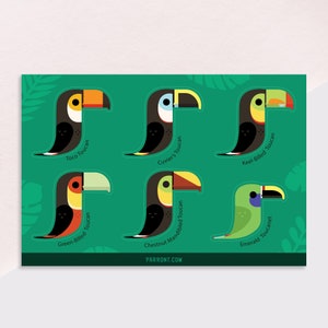 Toucans Vinyl Sticker Sheet - 4x6 Sheet