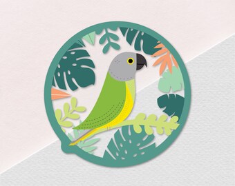 Tropical Senegal Parrot - Clear Vinyl Sticker