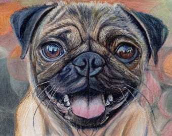 パグ - 色鉛筆画プリント - 犬のイラスト - アーティスト Gary Tymon