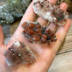 May include: Three small clusters of red and white crystals with black flecks. The crystals are arranged on a hand.