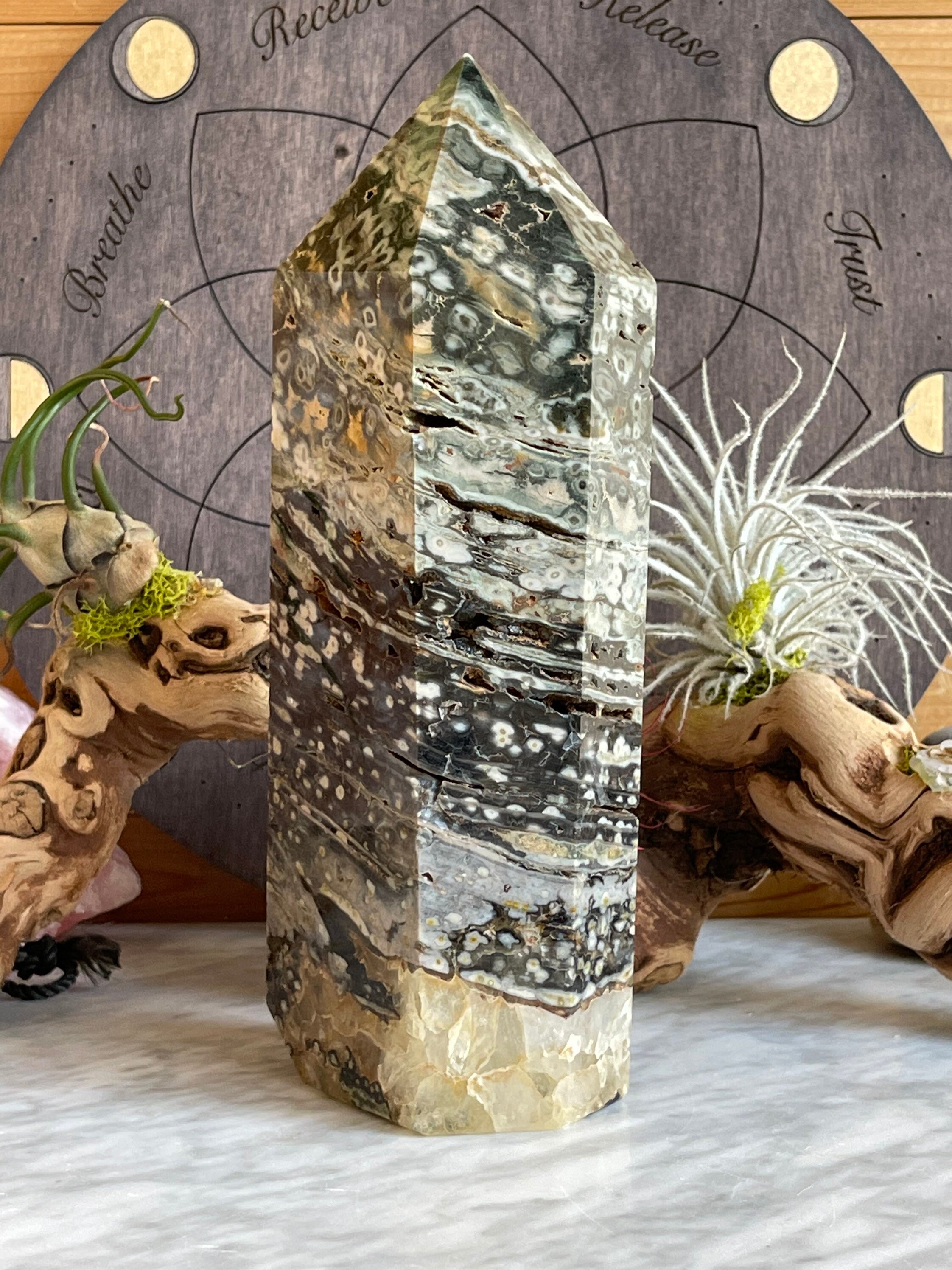 Extra Large 4.2 lb Ocean Jasper Tower Orbicular Jasper Etsy