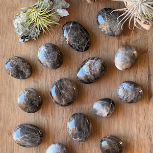 Black Moonstone Palm Stones