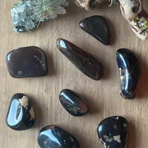 Véritables grandes pierres de palmier ambrée bleues