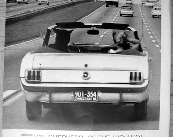 1966 Ford Mustang Convertible-Dog Driving On Hwy Original 13.5 * 10.5 Magazine Ad