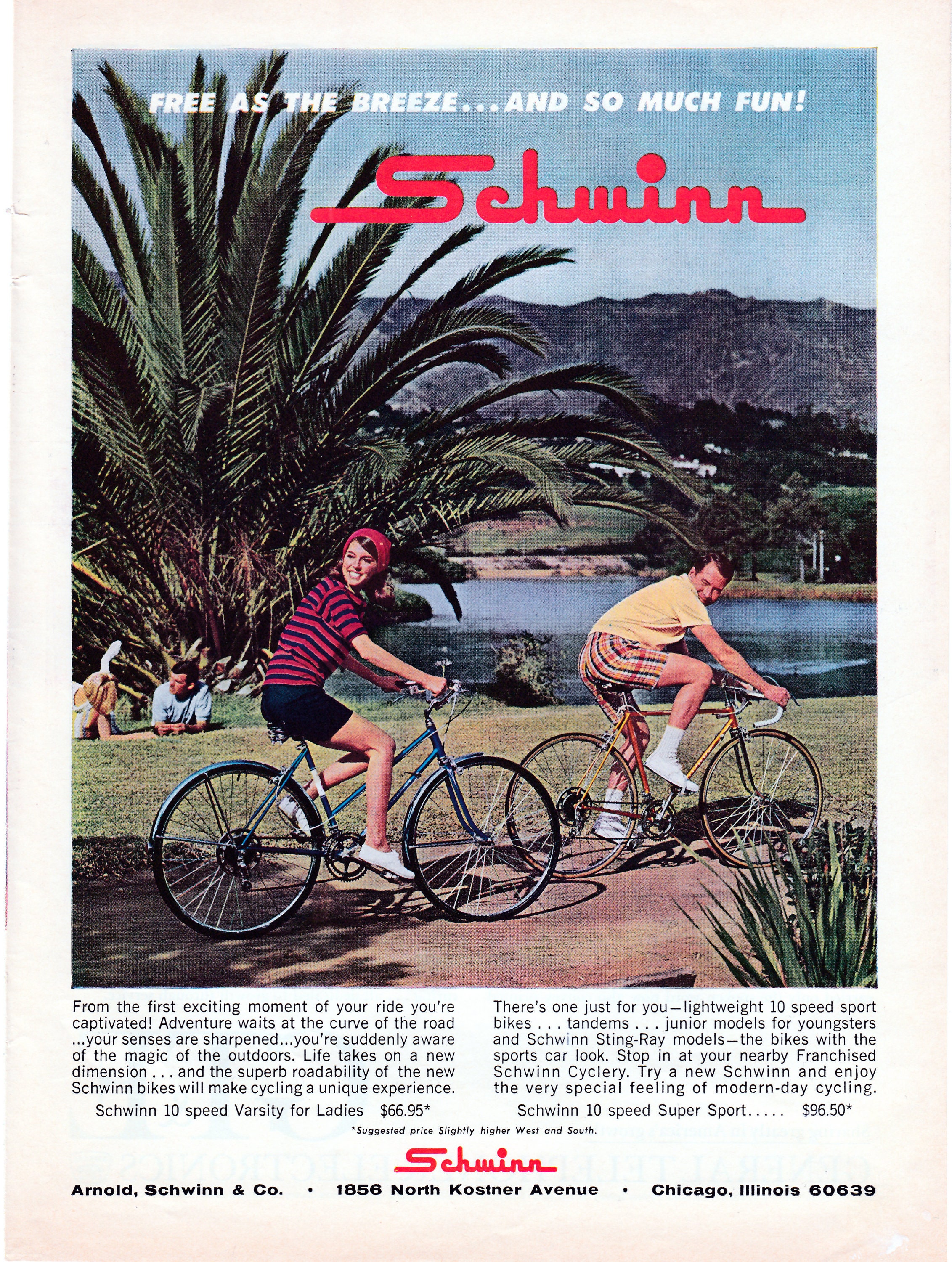 Vintage schwinn 2024 10 speed models