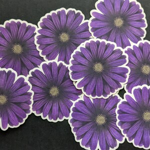 Adesivo/decalcomania a forma di fiore di margherita viola/viola. 2,5x2,5 pollici. Finitura opaca.