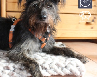 Dog cushion made of sheep's wool, loved by dogs, high quality, comfortable, robust, healthy & wonderful home