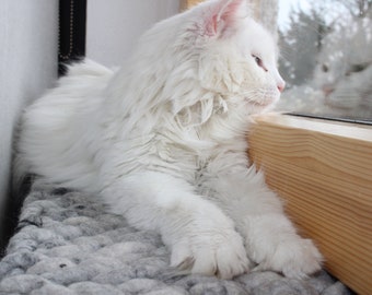 Katzenkissen aus gefilztem XL.Schafwollgarn für die Fensterbank