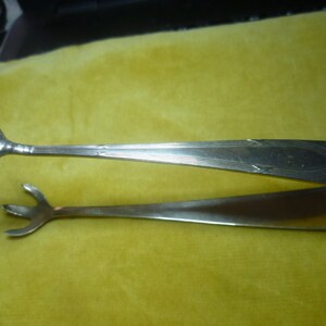 May include: Silver sugar tongs with bird claw-shaped grips. The tongs are open, showing the claw-like ends. The handles have a simple, elegant design. The background is a solid yellow-green colour.