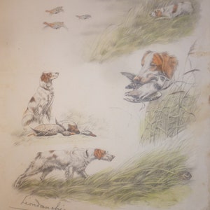 Léon Danchin 1887-Lilli-1938 "Chasse aux Setters Irlandais" Technique mixte : Fusain Crayons de couleur